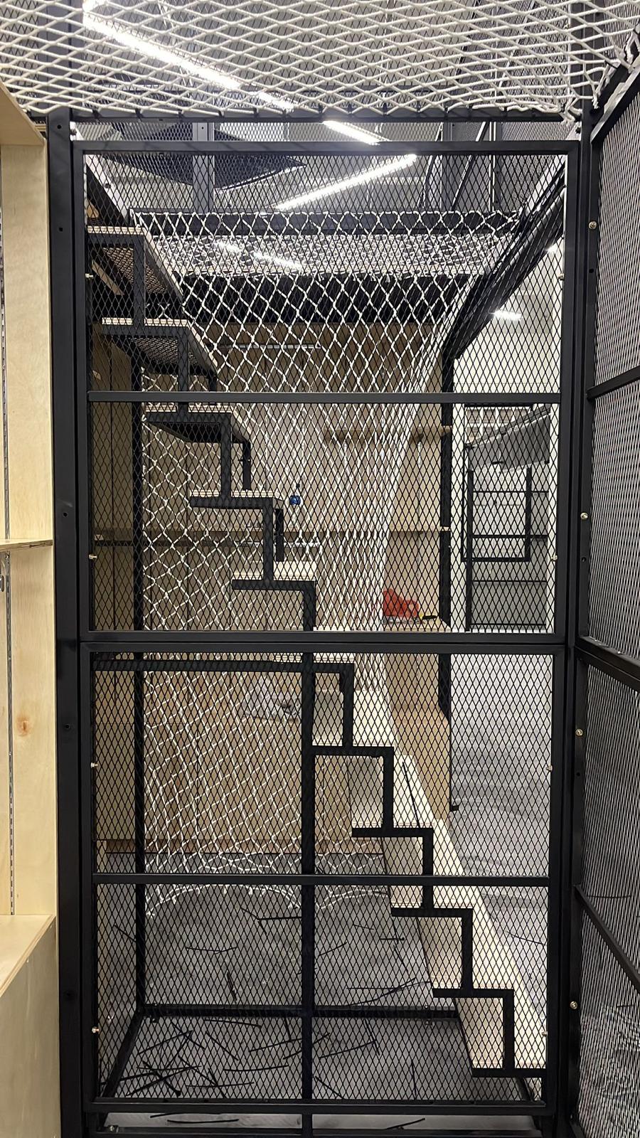 Black steel mesh partition and expanded metal ceiling in a retail back-of-house area
